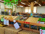 ˂񂳂̓̉w Ǖz̓eʐ^3