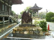 ��������񂳂�̊�������̓��e�ʐ^1