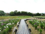 blueskŷƂԏҊ̓eʐ^4