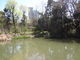 トロムソさんの姿見の池（東京都国分寺市）の投稿写真1