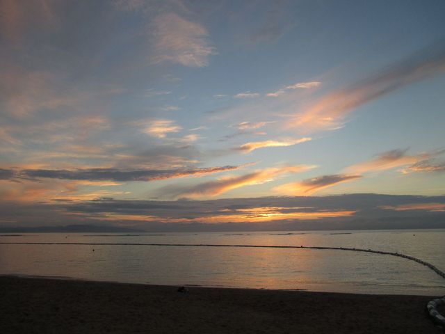 �t�T�L�r�[�`����̃T���Z�b�g_�t�T�L�r�[�`