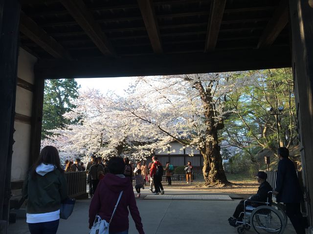 �ƂĂ��Y��ł�����_�O�O����