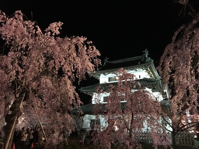 �}����������J�ł�����_�O�O����