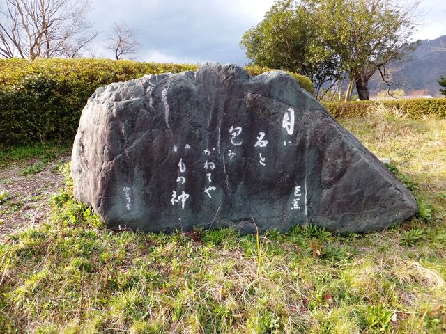 kSʂLOĂ̋茚łB_mԋiSAj