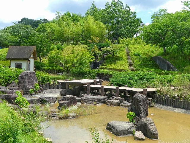 ショップ 竹取公園 ペット