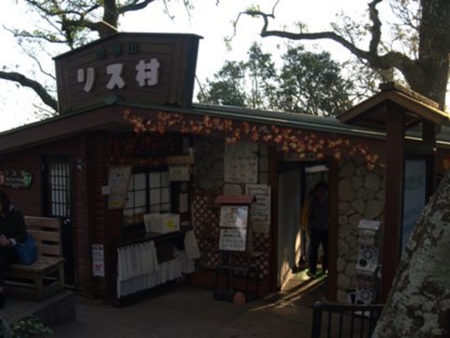 �����̑��̓����_���؎R���X��