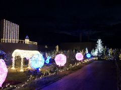 フラワー ガーデン森の風の写真一覧 じゃらんnet