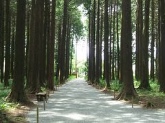 �Ƃ炳��̒����{�L�O�����ւ̓��e�ʐ^1