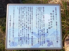 ڂ炳̔mԋiSAjւ̓eʐ^2