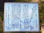 ���ڂ炳��̔m�ԋ��i���SA���j�̓��e�ʐ^2