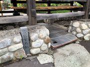 `pX̐zK Џt{ n̓eʐ^2