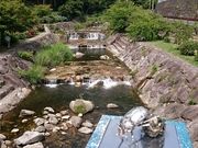 ܂܂̈Ɋ򍲐S̓eʐ^1