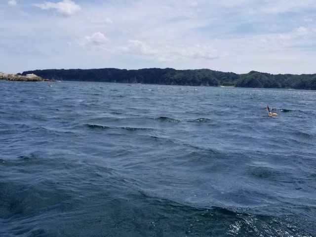 TbpD̏ォciFf炵B_̓A