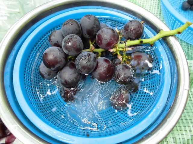 �₵�ĐH�ׂ��Ԃǂ��͔������������ł��I_�V���_��@���}�i�J�ʉ�