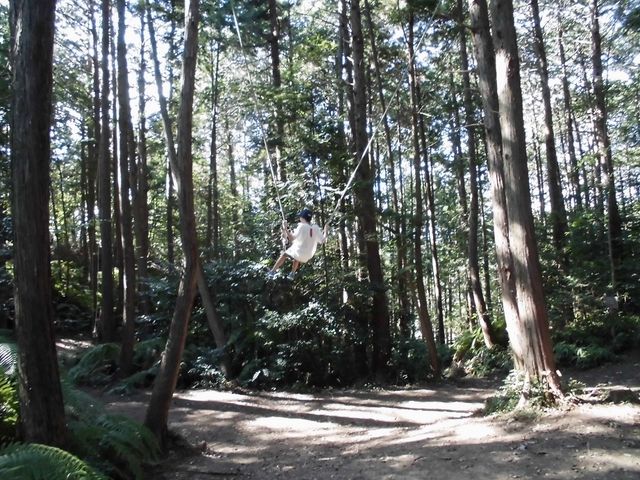 �R�̒��ɂ���̂ŁA�������ł��I_�V���_��@���}�i�J�ʉ�