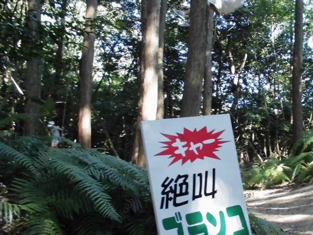 �u�L���[�I�v�⋩�u�����R_�V���_��@���}�i�J�ʉ�