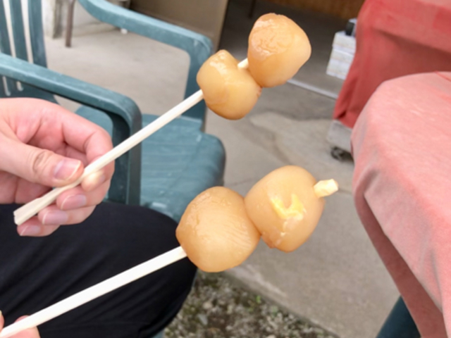 �͂���ɂႭ_���������̏h�ό��ʎ���