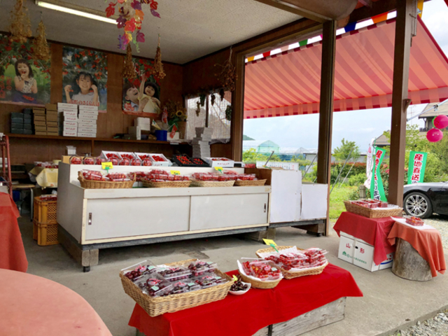 ������_���������̏h�ό��ʎ���