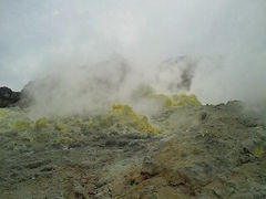 ɂǂ񂳂̂jjq@ւ̓eʐ^1