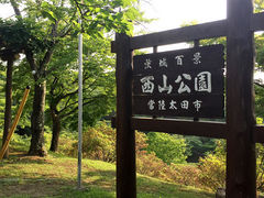 レナさんの西山公園（茨城県常陸太田市）の投稿写真1