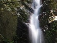 アクセルゼンカイさんの千尋の滝（鹿児島県さつま町）の投稿写真1
