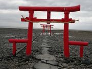 mu^J̑勛_Ђ̊C̓eʐ^1