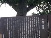 �䂩����̎u���ꗢ�˂̓��e�ʐ^1