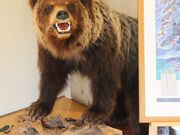 Ƃ񂳂̒mmPrW^[Z^[̓eʐ^5