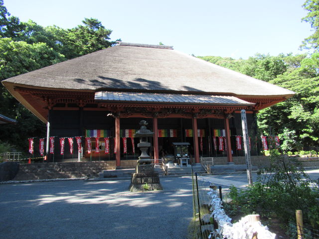 �{�a_���V������t