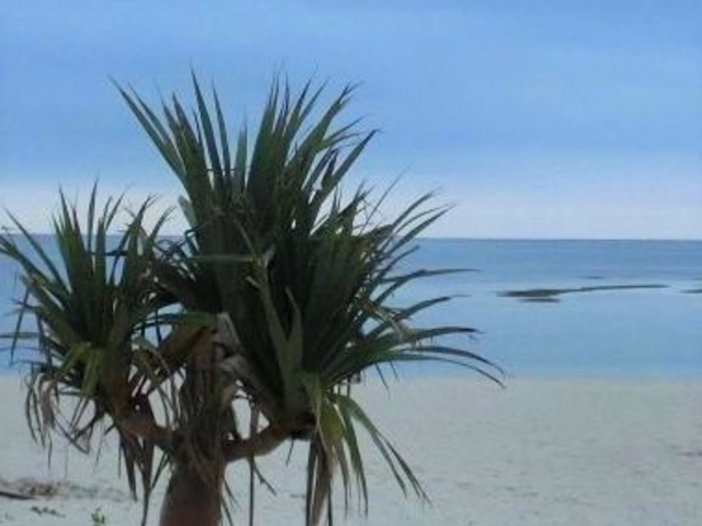 �C�[�t�r�[�`_�C�[�t�r�[�`