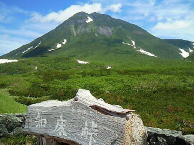 �m����_�F�̓�����