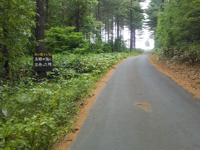 u܂ł̍⓹ɂk̍X|bgBh}DȐlɂ̓V[̂B_ӂ̃WiLjϔ_