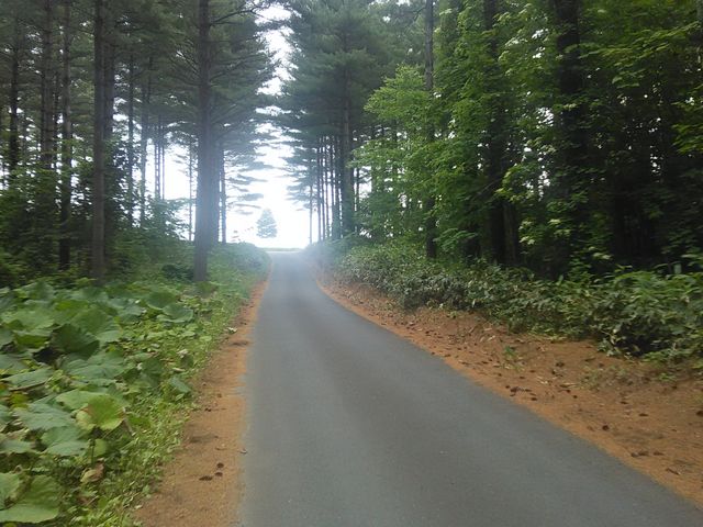 u܂ł̍⓹BǓƂɂт؂B_ӂ̃WiLjϔ_