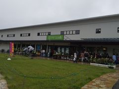 コ̊v AOG̐XXւ̓eʐ^1