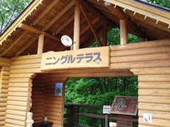 ṼVbsO[hujOeXvւ̓eʐ^1