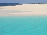 sumi����̃n�e�̕l�̓��e�ʐ^1