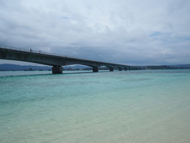 ���ꂢ�ȃG�������h�u���[�B_�ÉF���r�[�`