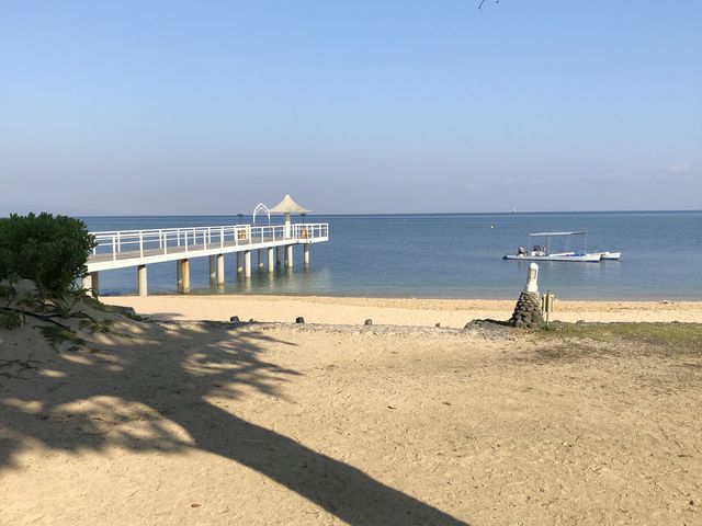 �V��������܂���_�t�T�L�r�[�`