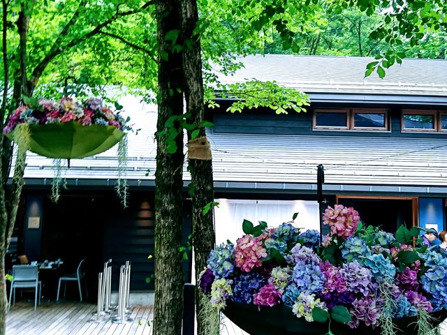 ���z��_�y��򐯖�G���A�@�n���j���e���X