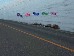 JOE̗RAy[gyxRzւ̓eʐ^1