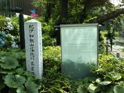 ��������񂳂�̋I�ɘa�̎R�˓���Ɖ��~�Ղ̔�̓��e�ʐ^1