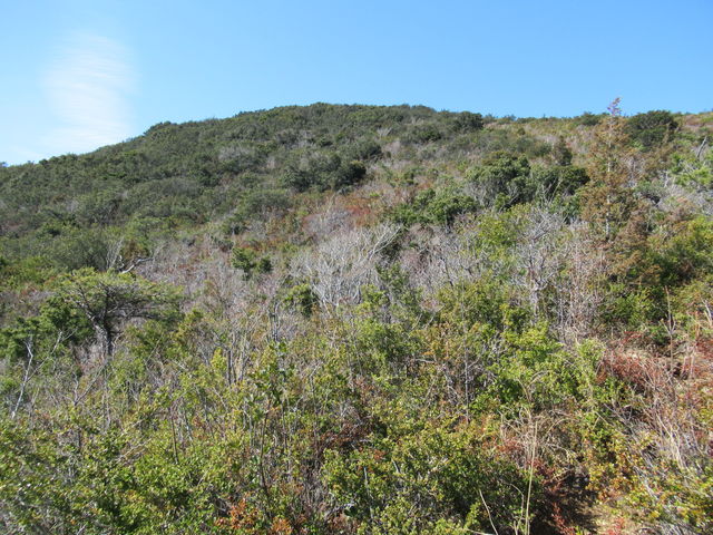 ������R�R��_��R