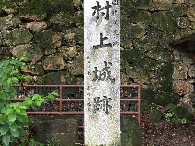 ������_������