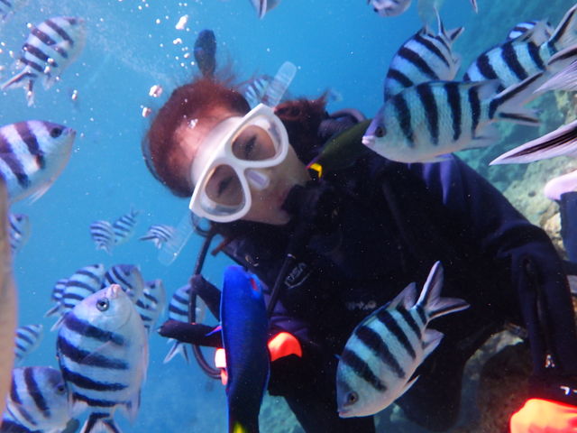 �]�T�̕\��_�s�i�N���}����