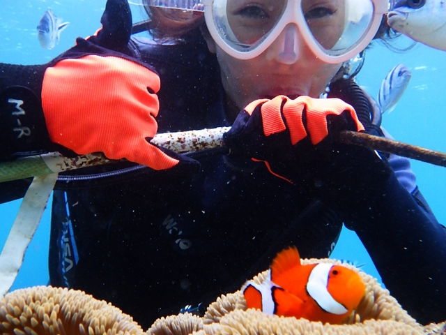 �J�N���N�}�m�~�e�q�ł���_�s�i�N���}����