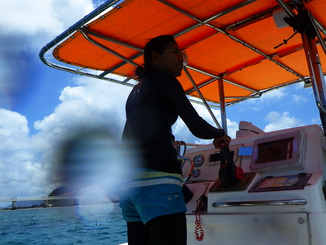 �����������I_�s�i�N���}����