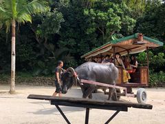 K񂳂̐Ί_h[όւ̓eʐ^3