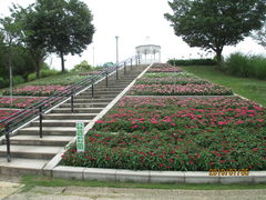 淡路島国営明石海峡公園の口コミ一覧 じゃらんnet