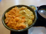 pW[̂T{X ɑViϒOXj̓eʐ^1