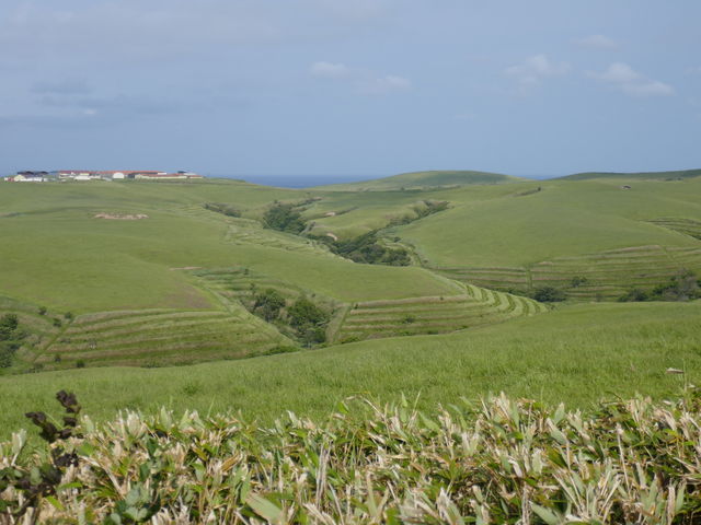 �X�͊�����Ɍ`�Â���ꂽ���i_�@�J�u�ˎ��X�͒n�`